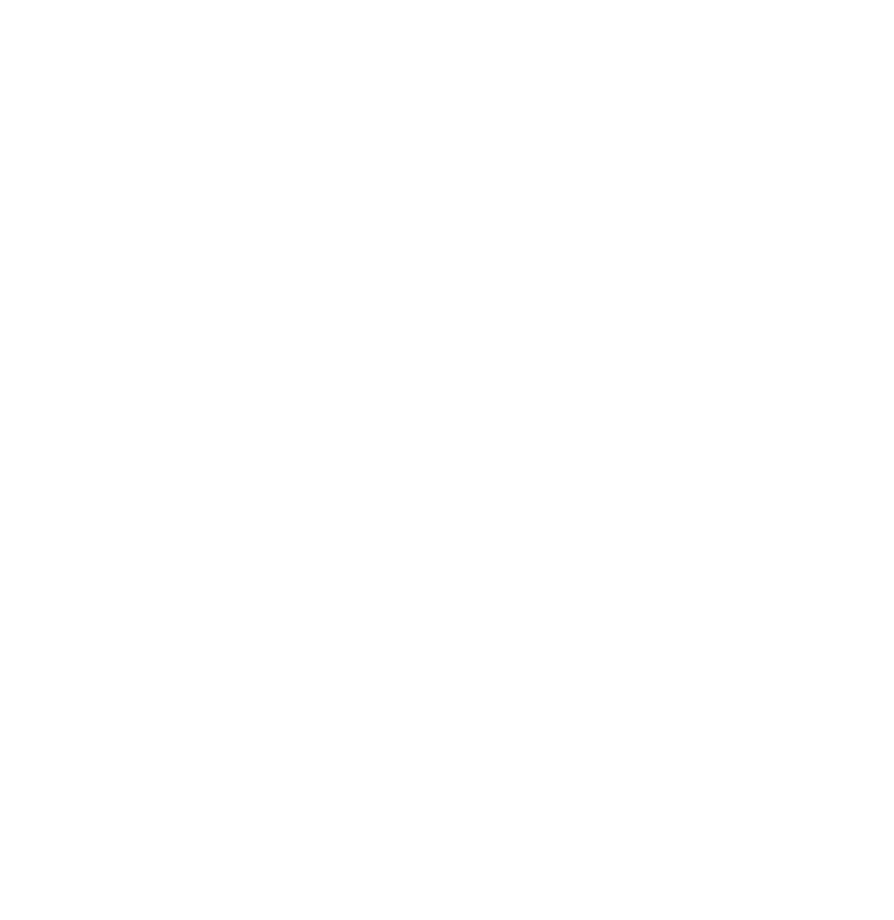 Alcance Partner